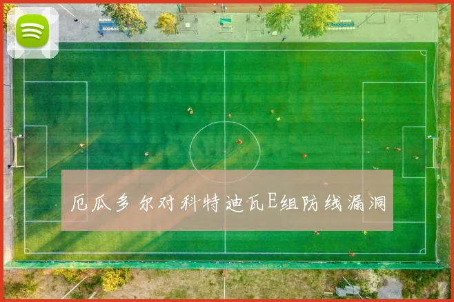 厄瓜多尔对科特迪瓦E组防线漏洞