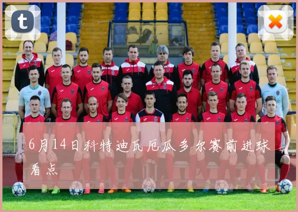6月14日科特迪瓦厄瓜多尔赛前进球看点