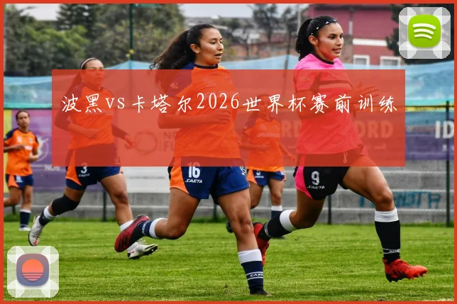 波黑vs卡塔尔2026世界杯赛前训练