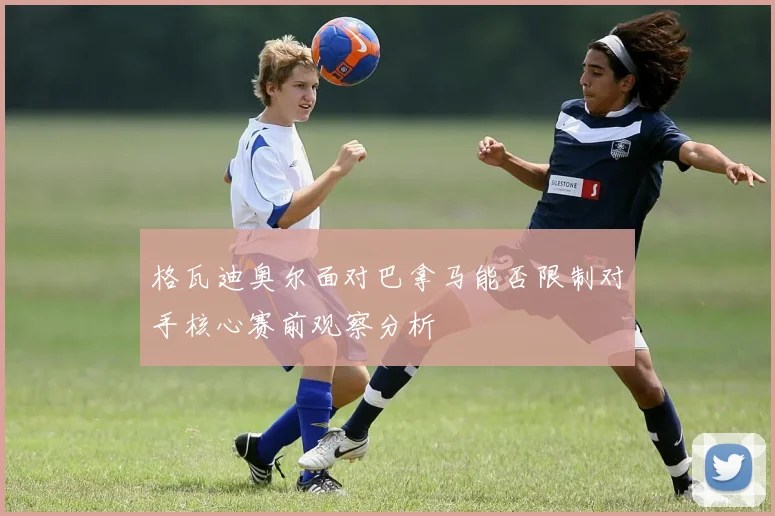 格瓦迪奥尔面对巴拿马能否限制对手核心赛前观察分析