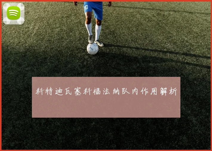 科特迪瓦塞科福法纳队内作用解析