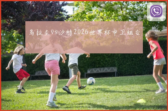 乌拉圭vs沙特2026世界杯中卫组合