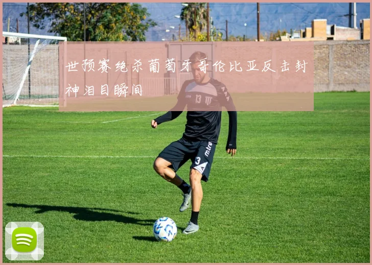 世预赛绝杀葡萄牙哥伦比亚反击封神泪目瞬间