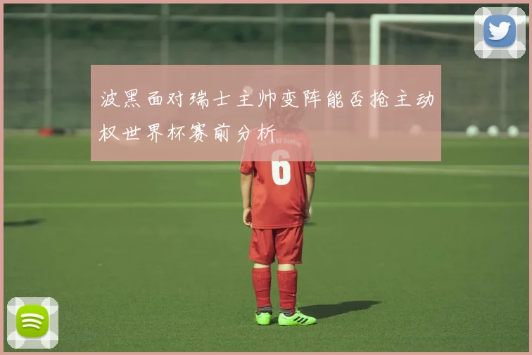 波黑面对瑞士主帅变阵能否抢主动权世界杯赛前分析