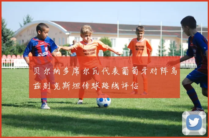 贝尔纳多席尔瓦代表葡萄牙对阵乌兹别克斯坦传球路线评估