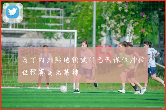 马丁内利贴地斩破门巴西保住帅位世预赛高光集锦